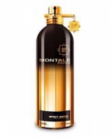 Montale Spicy Aoud 20ml