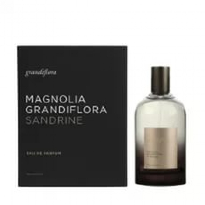 Magnolia Grandiflora Sandrine