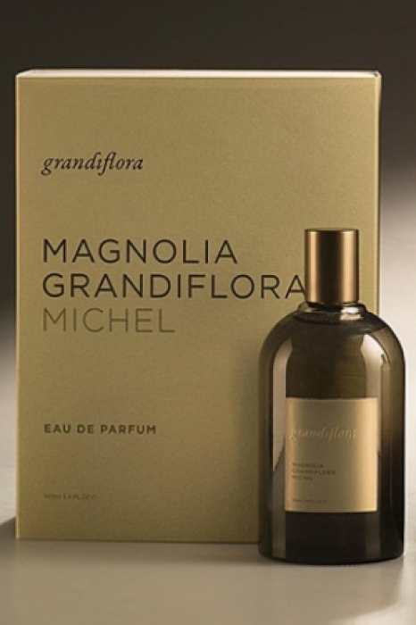 Magnolia Grandiflora Michel