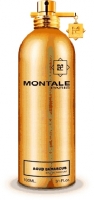 Montale Aoud Damascus