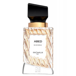 Anomalia Paris Abed